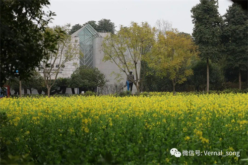 游记1:吃住行在建川的旅游攻略