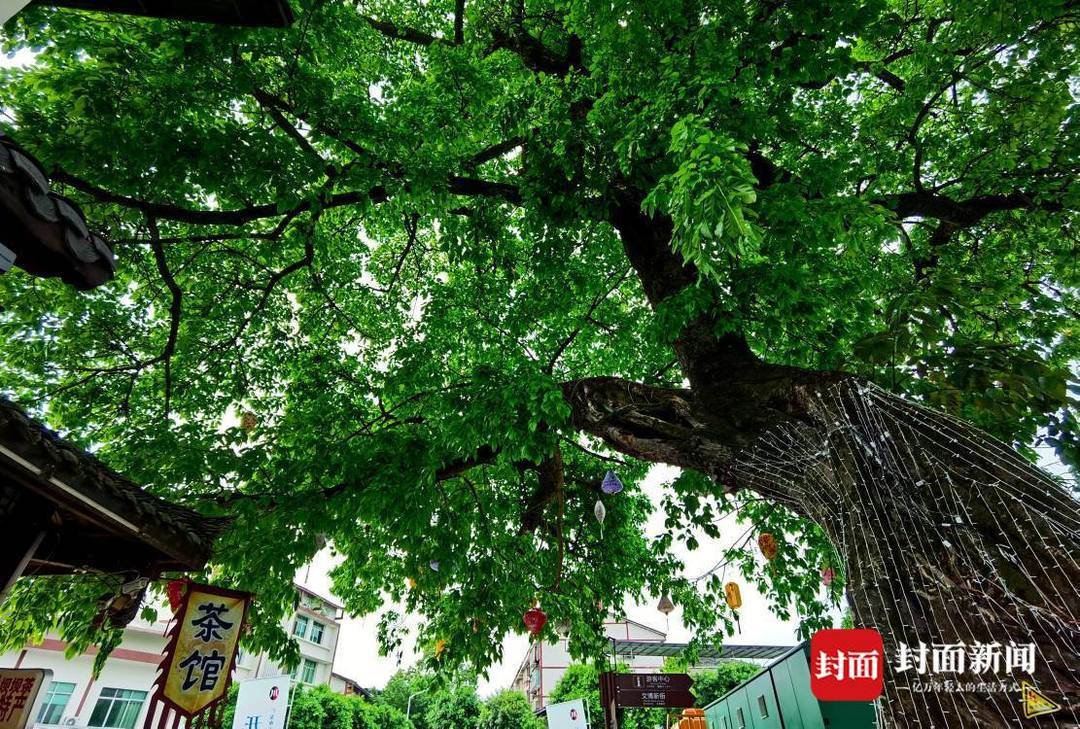 一次性解锁10种“历史穿越剧本”！探访新建成的广安建川博物馆